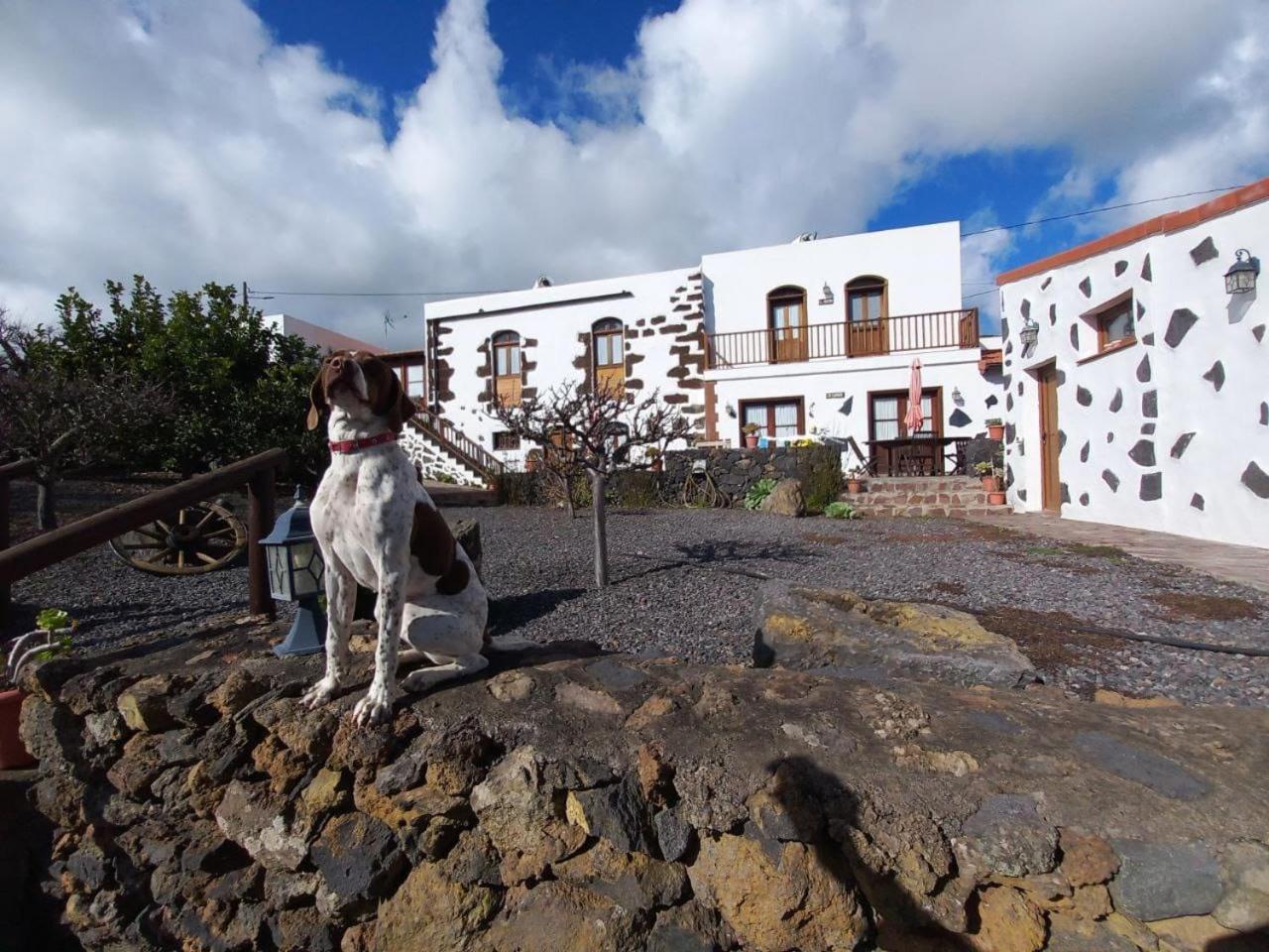 Las Casas Del Abuelito Julian & La Abuela Leonor Isora Extérieur photo